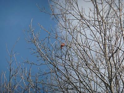 Hommage au quotidien à la maison