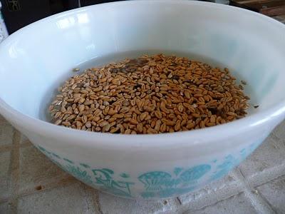 Hommage au quotidien à la maison