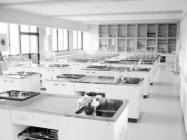 Trop de profs absents non remplacés : la Peep tape du poing sur la table