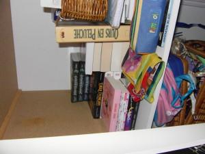 Rangement des livres chez ma fille