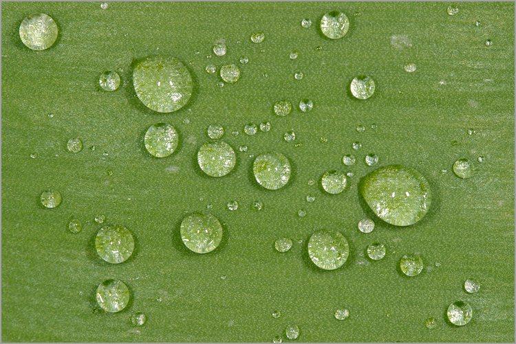 Si tu t’en vas par le chemin (Tradition paysanne bulgare)