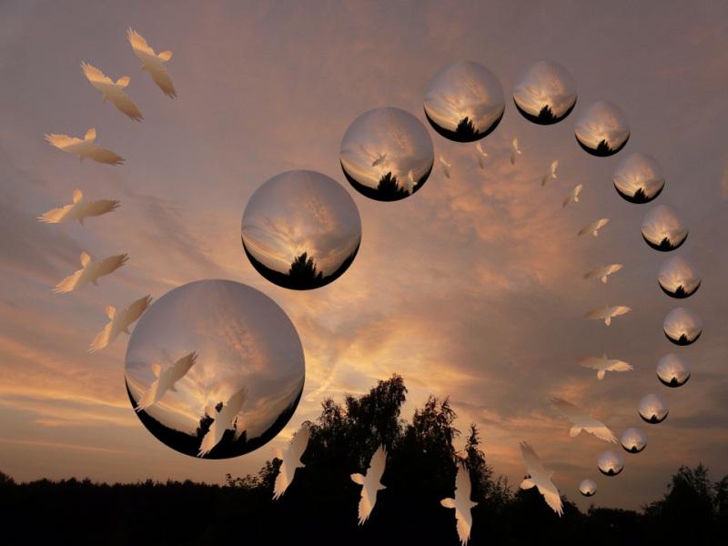 Jeune est le temps…  (Lala Romano)