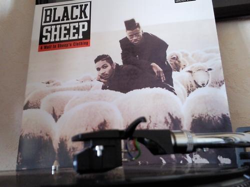 Black Sheep – ‘A Wolf In Sheep’s Clothing’