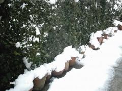 neige 08 03 10 DIM 17 (929 x 696).jpg