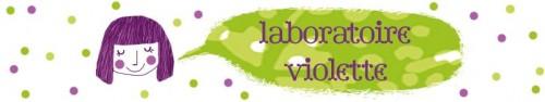 labo-violette.JPG