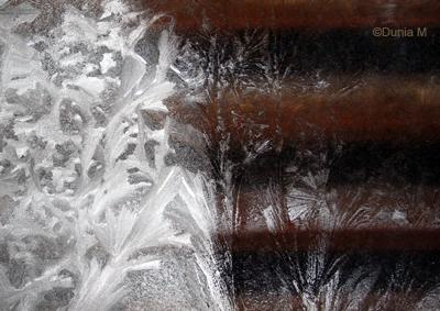 La Chaux-de-Fonds:  10 mars 2010 froid et givre