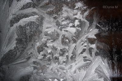 La Chaux-de-Fonds:  10 mars 2010 froid et givre