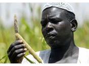 L’Afrique exporte produits biologiques