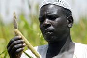 L’Afrique exporte ses produits biologiques