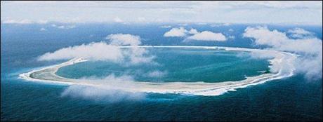 Biodiversité : récif coralien ça chauffe ! image ecolo-trader.fr