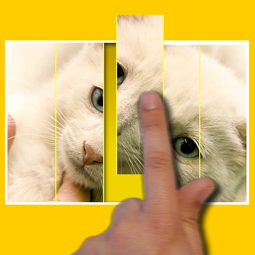 [News : Jeu] Kid’s Kitten Puzzle s’adapte aux enfants et aux adultes