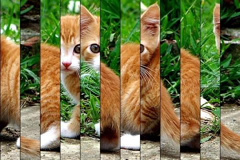 [News : Jeu] Kid’s Kitten Puzzle s’adapte aux enfants et aux adultes