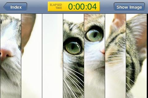 [News : Jeu] Kid’s Kitten Puzzle s’adapte aux enfants et aux adultes