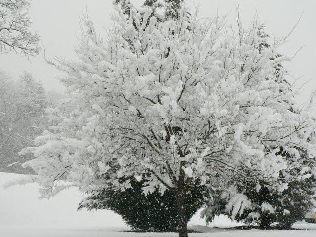 Un tout petit air de printemps