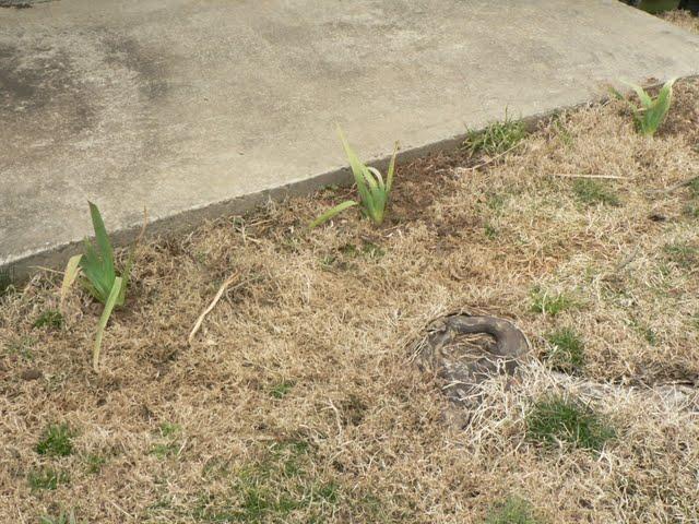 Un tout petit air de printemps