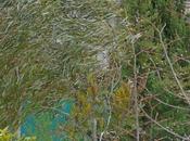 semaine encore bien hivernale journal mars 2010