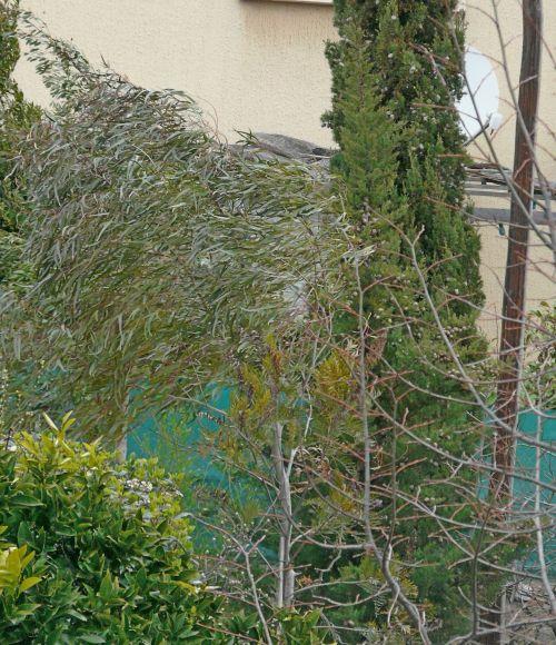 Une semaine encore bien hivernale : journal du 12 mars 2010