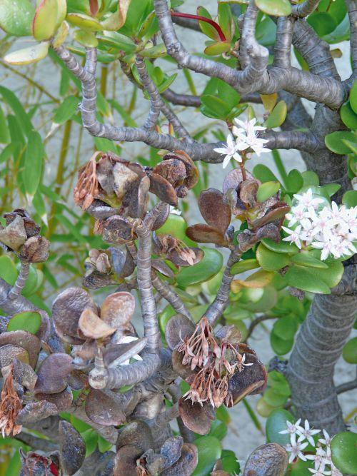 Une semaine encore bien hivernale : journal du 12 mars 2010