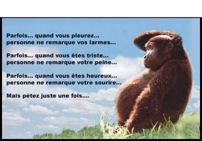 mots divers petits texte