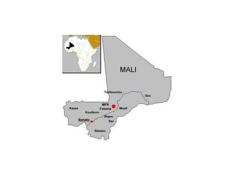 Rencontre avec le Mali : le voyage d'une classe BEPA SAP Mes contributions