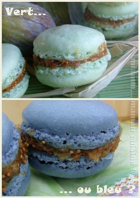 macaron figue3