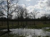 campagne campagne....les élections printemps...