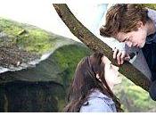 livre film: Twilight