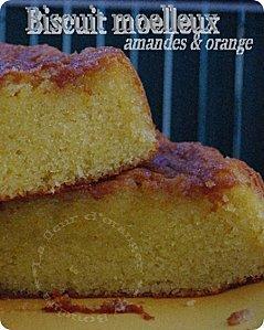 null 1267205642_452.jpg