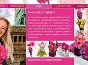 site Gerberas