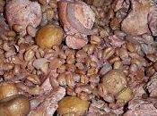 Risotto poulet l'orge