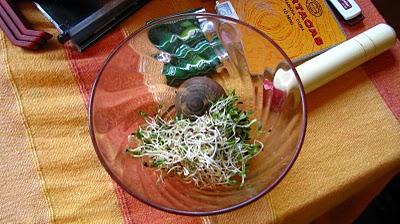 Défi Photo : Gourmandise