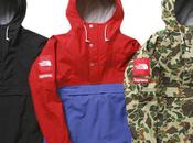 Supreme north face expedition pullover