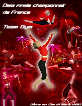 Demi finale de championnat de France TeamGym ce week end !
