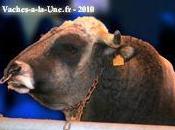 Faute commenter élections parlons immigration