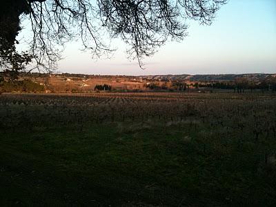 Courir, pour la première fois de l'année...