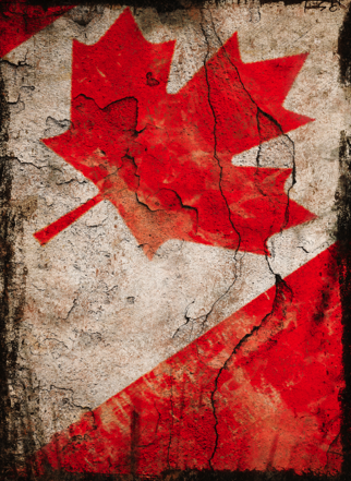 la littérature québécoise a beaucoup évolué, sortant de son adolescence synonyme de nationalisme et d’affirmation identitaire régionale