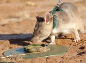 nature nous offert pour sauver vies