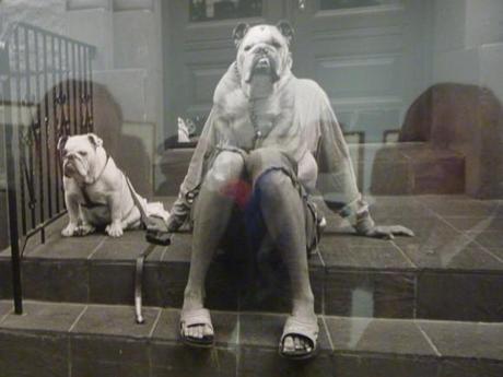 Elliot Erwitt à la Maison Européen de la Photographie Elliott-Erwitt-femme-etetee.JPG