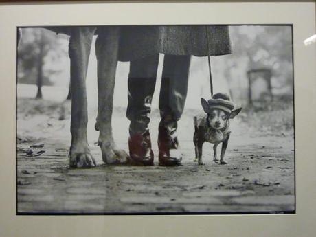 Elliot Erwitt à la Maison Européen de la Photographie Elliott-Erwit-paire-de-pattes.JPG