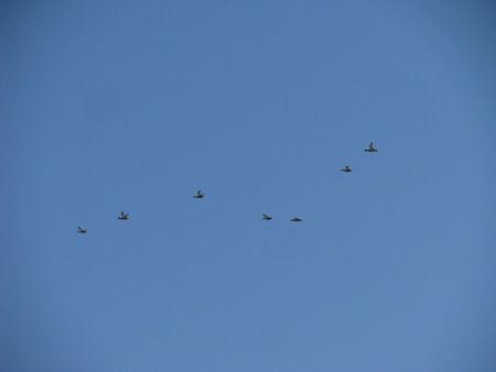 IMG_1444