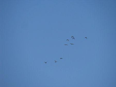 IMG_1445