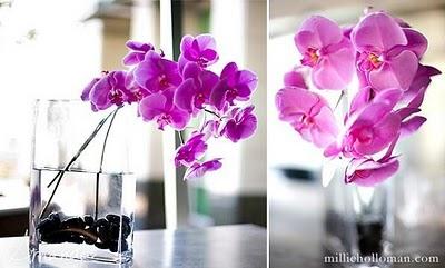 Un mariage sur le thème de l’orchidée ? Oui, je le veux !