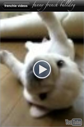 [News : Apps]  Frenchies tout sur le Bulldogs Français