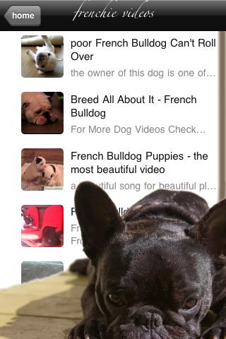 [News : Apps]  Frenchies tout sur le Bulldogs Français