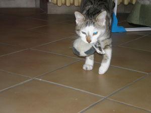 News de mes animaux : épisode 18 P1015655