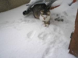 News de mes animaux : épisode 18 P1010005