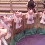 Plongée nocturne au salon de l’agriculture