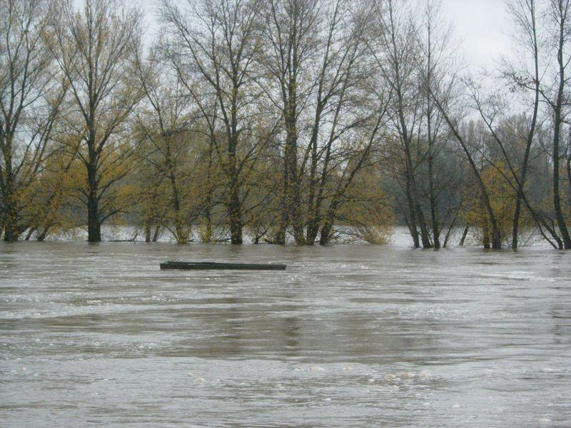 La rivière de l’ouest (Wei Ying-Wu)