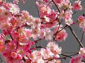 Ateliers d'avril temps sommeil