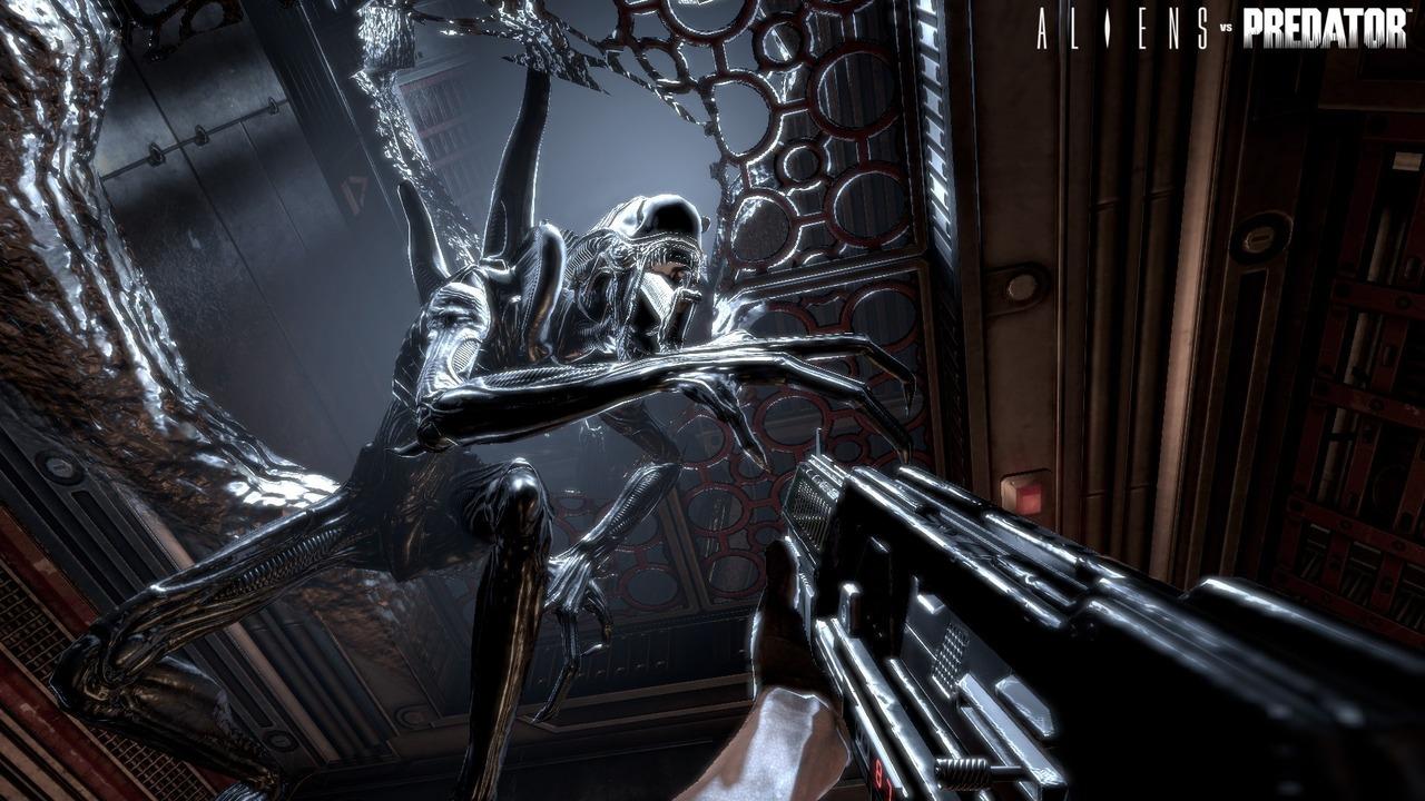 Aliens vs Predator :le DLC